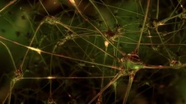 Yapay nedeni. Yapay sinir hücreleri ve sinapslarda bir robot, hangi elektrik darbeleri ve deşarj pass ile beyinde oluşan bir ağ ile yolculuk