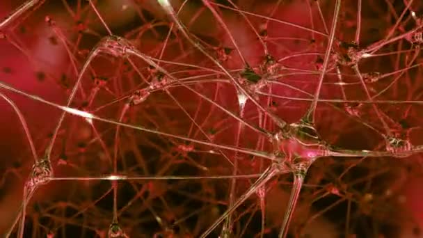 Raison Artificielle Voyage Travers Réseau Cellules Neuronales Artificielles Synapses Dans — Video