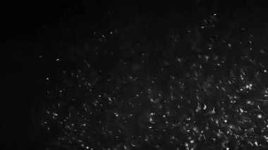 Ağır kış blizzard. Siyah bir arka plan üzerinde güçlü rüzgarlar ile kar yağışı. ilmekledi