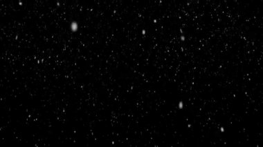 Kış kar yağışı. Siyah bir arka plan üzerinde üniforma sonbahar yumuşak kar. Bir fotoğraf veya videoyu kış hava benzetimini yapmak için idealdir. ilmekledi. Sadece video ve karıştırma modu kümesi üstüne kar döngü koydu