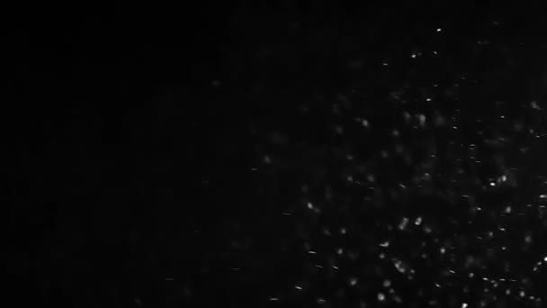 Сильная Зимняя Метель Снегопад Сильным Порывом Ветра Черном Фоне Lox — стоковое видео