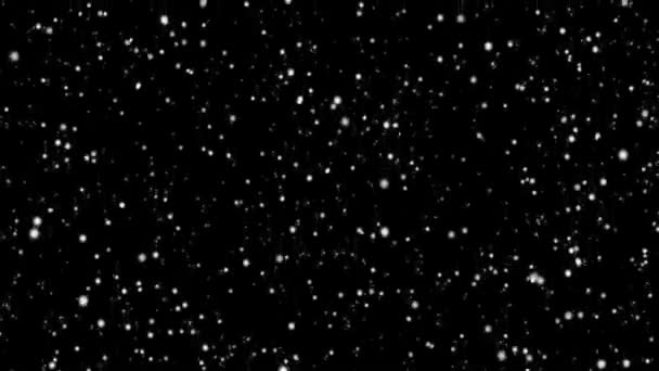 Heavy Snowfall Black Background Transfer Photo Video Snowstorm Winter Bad — Stock Video