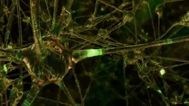 Yapay zeka. Bir robot bir impulslarinin bilgisayar beyin neural ağ üzerinden geçiyor. İlmekledi