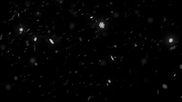 写真や吹雪と冬の天気が悪いのビデオに転送するための黒い背景に大雪 ループ ビデオやブレンド モードのセットの上にちょうど置かれた雪ループ — ストック動画