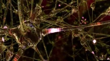 Yapay zeka. Bir robot bir impulslarinin bilgisayar beyin neural ağ üzerinden geçiyor. İlmekledi