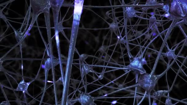 Voyage Travers Réseau Cellules Neuronales Synapses Dans Cerveau Travers Lesquelles — Video