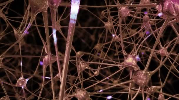 通过神经细胞和突触在大脑中通过电子脉冲和放电传递的网络进行的旅程 信息传递过程中神经元突触网络的研究 — 图库视频影像