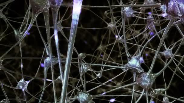 Cesta Přes Síť Nervových Buněk Synapse Mozku Které Elektrické Impulzy — Stock video