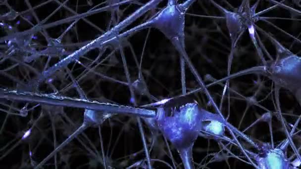 Viaje Través Una Red Células Neuronales Sinapsis Cerebro Través Las — Vídeo de stock