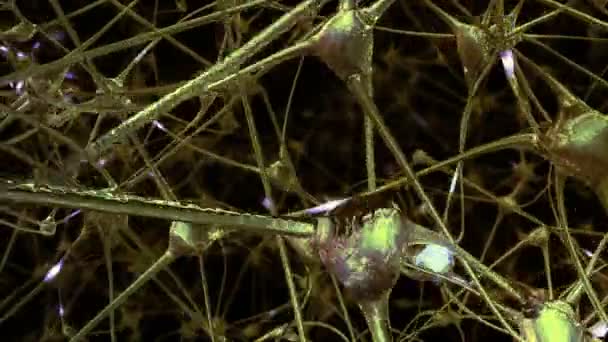 通过网络的神经细胞和突触在大脑通过电脉冲和放电通过 — 图库视频影像