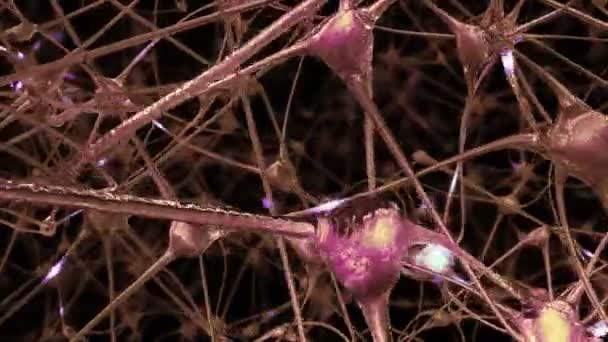 Viaggio Attraverso Una Rete Cellule Neuronali Sinapsi Nel Cervello Attraverso — Video Stock