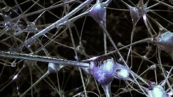 神経細胞と通過する電気衝動および放電脳におけるシナプスのネットワークを介しての旅 — ストック動画
