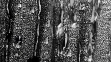 Cam yüzey üzerinde yağmur damlaları. Herhangi bir kanalı Alfa kullanın veya yumuşak ışık/kaplama/eklemek karıştırma modu, kompozisyon eklemek için kullanın