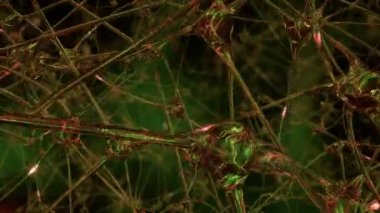 Yapay nedeni. Yapay sinir hücreleri ve sinapslarda bir robot, hangi elektrik darbeleri ve deşarj pass ile beyinde oluşan bir ağ ile yolculuk