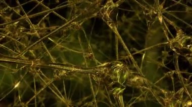 Yapay nedeni. Yapay sinir hücreleri ve sinapslarda bir robot, hangi elektrik darbeleri ve deşarj pass ile beyinde oluşan bir ağ ile yolculuk