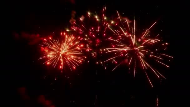 Helder Kleurrijke Vuurwerk Nachtelijke Hemel Heldere Feestelijke Groet Knippert Een — Stockvideo