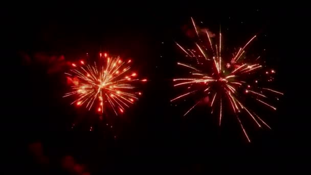 Яркий Красочный Фейерверк Ночном Небе Яркие Праздничные Салюты Прекрасно Дополняют — стоковое видео