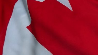 Yavaş hareket içinde Kanada bayrağı. Bayrak rüzgârda sorunsuz gelişir. Rüzgar dalgaları bayrağın üzerine yayıldı. Düz hareket bayrağı bu sürümü neredeyse her video için uygundur
