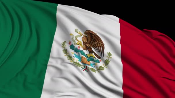 慢动作的墨西哥国旗 旗帜在风中顺利升起 风浪在国旗上蔓延 这个版本的标志在平滑的运动是适用于几乎任何视频 — 图库视频影像