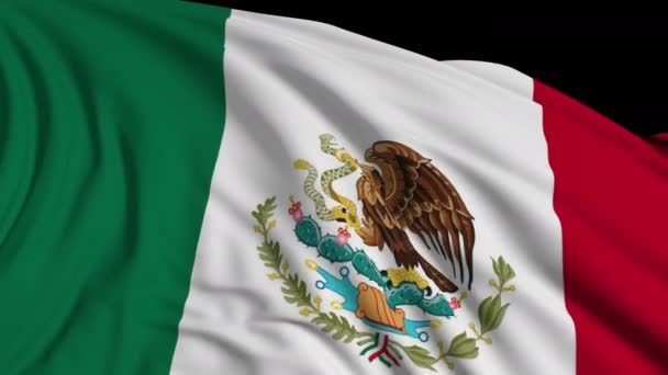 Drapeau Mexicain Ralenti Drapeau Développe Douceur Dans Vent Des Vagues — Video