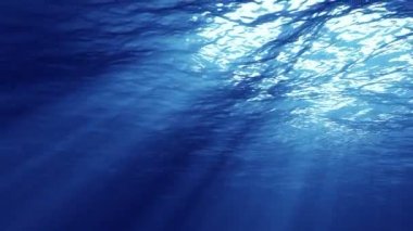 Su altı ışığı, güneş ışığından oluşan güzel bir örtü yaratır. Sualtı okyanus dalgaları ışık ışınlarıyla salınır ve akar.