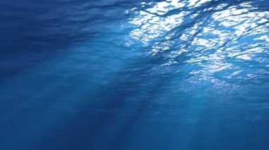 Su altı ışığı, güneş ışığından oluşan güzel bir örtü yaratır. Sualtı okyanus dalgaları ışık ışınlarıyla salınır ve akar.