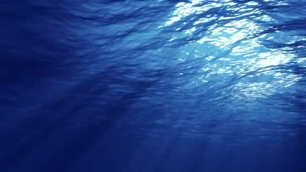 La lumière sous-marine crée un beau voile, composé de lumière du soleil. Les vagues sous-marines oscillent et s'écoulent avec les rayons de lumière