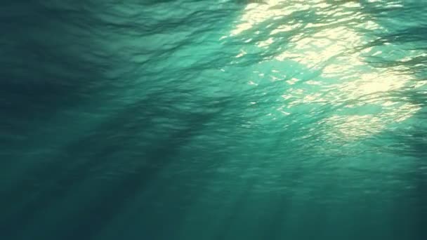 Underwater Light Creates Beautiful Veil Consisting Sunlight Underwater Ocean Waves — Stock Video