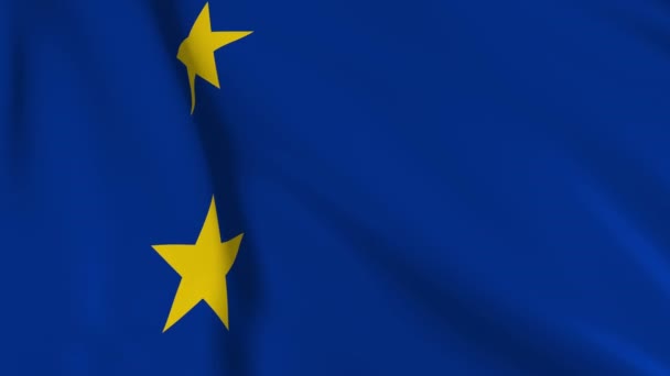 Europeisk Flagg Sakte Film Flagget Utvikler Seg Smidig Vinden Vindbølger – stockvideo