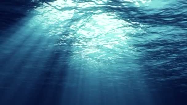水中の光は 太陽光で構成された美しいベールを作り出します 水中の海の波が振動し 光の光線で流れます — ストック動画