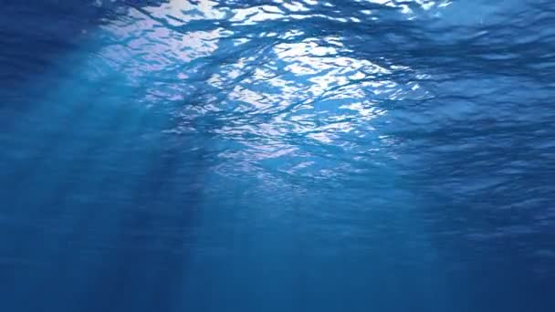 Rays Sunlight Shining Penetrating Deep Clear Blue Water Causing Beautiful — Stock Video