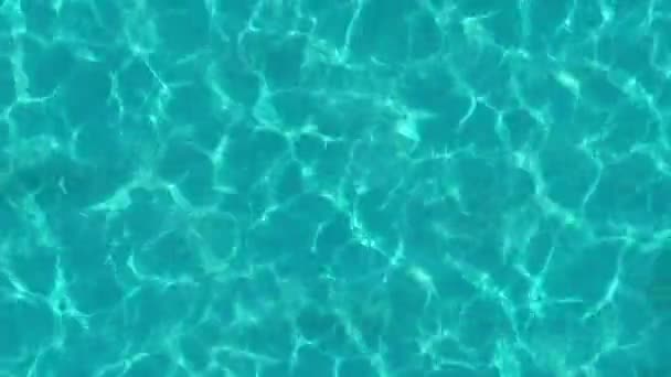 Water Caustics Animated Texture Water Surface Transparent Water Refraction Sunlight — Stock Video