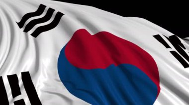 Yavaş çekimde Güney Kore bayrağı. Bayrak rüzgarda sorunsuz gelişir. Rüzgar dalgaları bayrağın üzerine yayıldı. Bayrağın düzgün hareket halindeki bu sürümü hemen hemen her video için uygundur