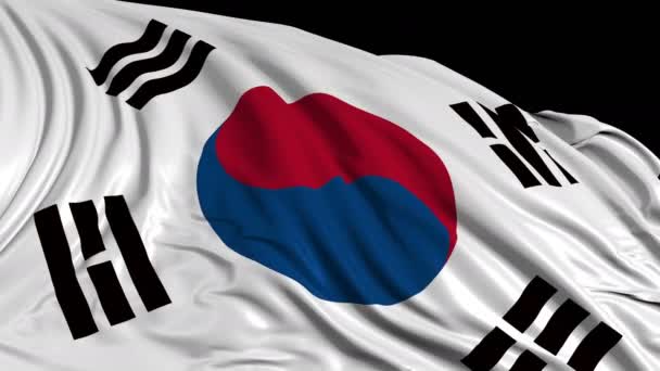 Südkoreanische Flagge Zeitlupe Entwickelt Sich Die Fahne Sanft Wind Windwellen — Stockvideo