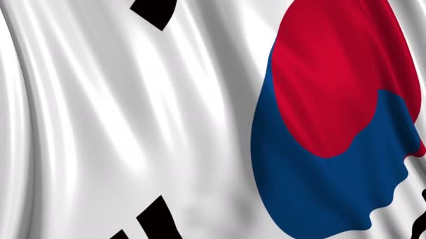 South Korean Flag Slow Motion Flag Develops Smoothly Wind Wind — Stock Video