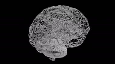 İnsan beyninin döngüsel olarak dönen bilgisayar modeli. Alfa kanallı animasyon. Yapay zeka kavramı ve tomografinin tıbbi aygıtından beynin yapısına ilişkin verilerin görselleştirilmesi