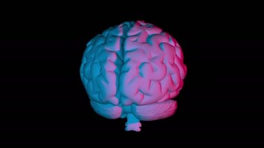 İnsan beyninin döngüsel olarak dönen bilgisayar modeli. Alfa kanallı animasyon. Yapay zeka kavramı ve tomografinin tıbbi aygıtından beynin yapısına ilişkin verilerin görselleştirilmesi