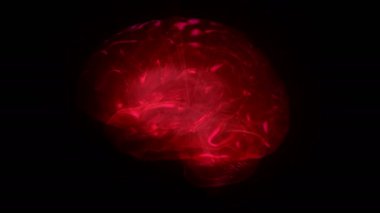 İnsan beyninin döngüsel olarak dönen bilgisayar modeli. Alfa kanallı animasyon. Yapay zeka kavramı ve tomografinin tıbbi aygıtından beynin yapısına ilişkin verilerin görselleştirilmesi