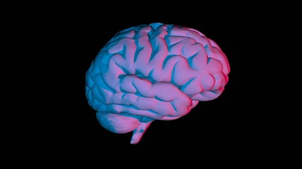 Компьютерная модель человеческого мозга и концепция искусственного интеллекта — стоковое фото