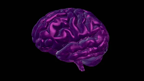 Компьютерная модель человеческого мозга и концепция искусственного интеллекта — стоковое фото