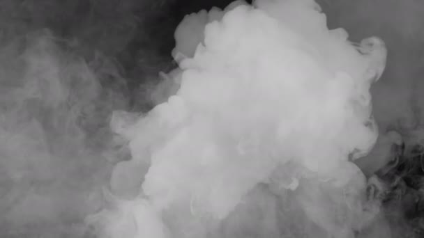 Nebbia Che Muove Lentamente Con Spessi Colpi Scena Cangianti Sovrapporsi — Video Stock