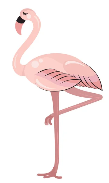 Pink flamingo staande op een been, vector — Stockvector