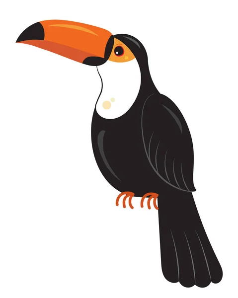 Grote Toucan bird - Ramphastos toco, vectorillustratie — Stockvector