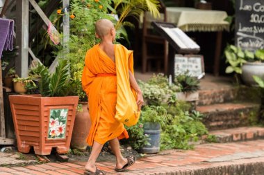 Luang Prabang, Laos - 11 Ocak 2017: Rahipler bir şehir sokak üzerinde