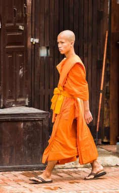 Luang Prabang, Laos - 11 Ocak 2017: Bir şehir sokak Monk. Dikey                  