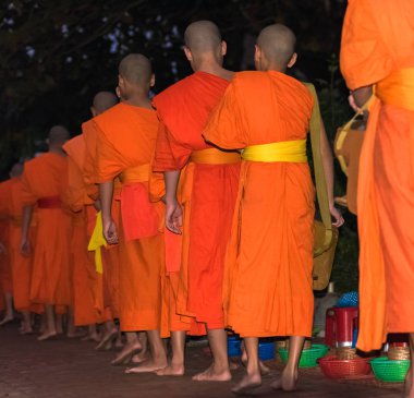Rahipler besleme. Ayin Tak yarasa, Luang Prabang, Laos denir. Yakın çekim