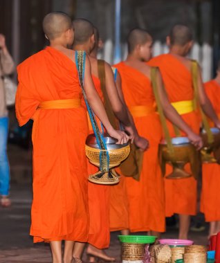 Rahipler besleme. Ayin Tak yarasa, Luang Prabang, Laos denir. Yakın çekim