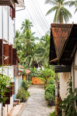 Luang Prabang, Laos sokak şehir görüntüsü. Dikey. Metin için yer kopyalayın