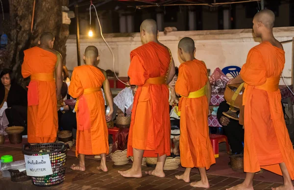 Luang Prabang Laos Ocak 2017 Rahipler Besleme Ayin Tak Yarasa — Stok fotoğraf