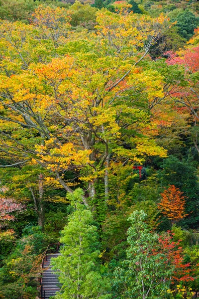 Árboles Otoño Parque Ciudad Hakone Japón Vertical — Foto de Stock